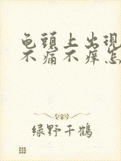 龟头上出现红斑不痛不痒怎么回事