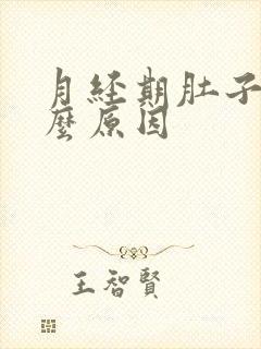 月经期肚子疼什么原因