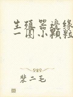 生殖器边缘长了一圈小颗粒