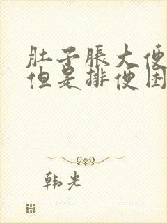 肚子胀大便不干但是排便困难