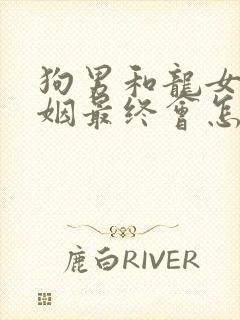 狗男和龙女的婚姻最终会怎么样封面