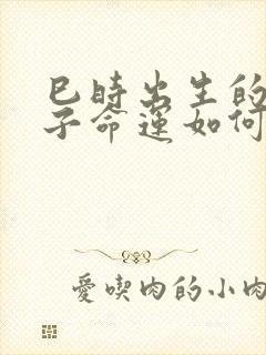 巳时出生的男孩子命运如何