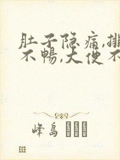 肚子隐痛,排便不畅,大便不尽