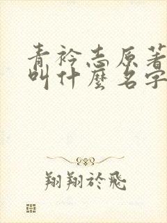 青衿志原著小说叫什么名字