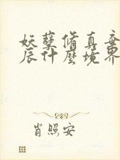 妖孽修真弃少叶辰什么境界封面