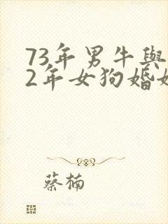 73年男牛与82年女狗婚姻状况