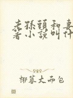 老孙头和妻子原著小说叫什么名字