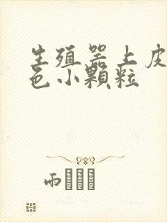 生殖器上皮下白色小颗粒