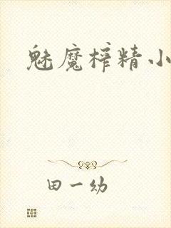 魅魔榨精小说