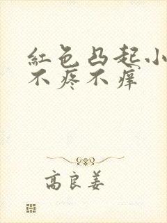 红色凸起小疙瘩不疼不痒封面