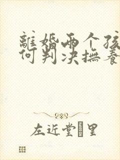 离婚两个孩子如何判决抚养权