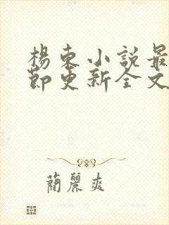 杨东小说最新章节更新全文阅读