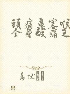 头痛鼻塞喉咙痛全身酸痛乏力吃什么药