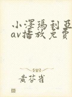 小泽玛利亚在线av播放免费