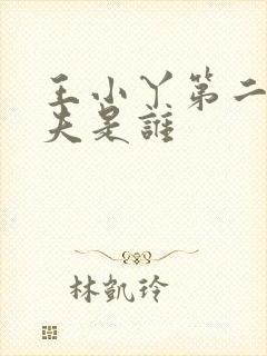 王小丫第二任丈夫是谁封面
