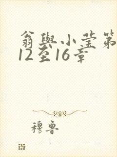 翁与小莹第十部12至16章封面