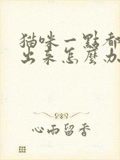 猫咪一点都尿不出来怎么办