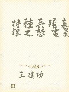 特种兵归来:血狼之怒 电影