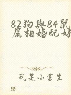 82狗与84鼠属相婚配好吗