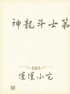 神龙斗士第三季