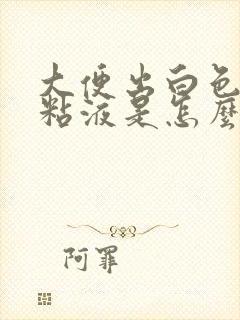 大便出白色透明粘液是怎么回事