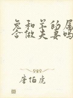 兔和羊的属相适合做夫妻吗