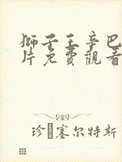 狮子王辛巴动画片免费观看