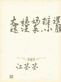 大姨妈推迟两天还没来,小腹有隐隐疼