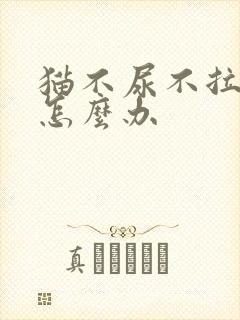 猫不尿不拉呕吐怎么办