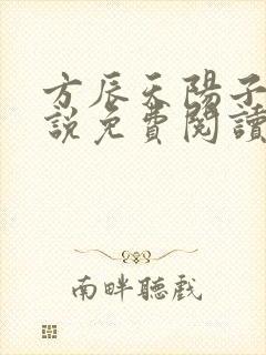 方辰天阳子的小说免费阅读