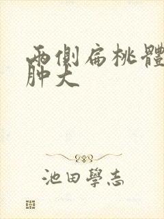 两侧扁桃体2度肿大