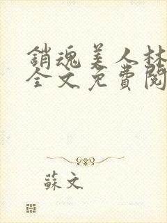 销魂美人林婷婉全文免费阅读小说