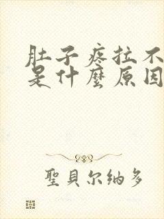 肚子疼拉不出屎是什么原因