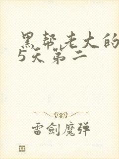 黑帮老大的365天第二