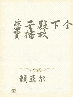 痞子殿下全集免费播放