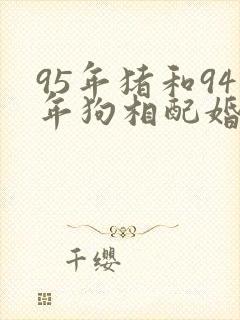 95年猪和94年狗相配婚姻如何