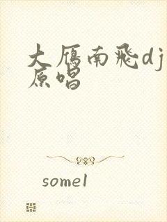 大雁南飞dj版原唱