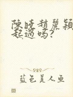 陈晓赵丽颖在一起过吗?