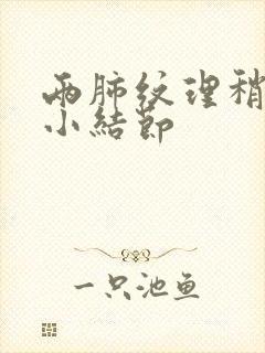 两肺纹理稍多微小结节封面