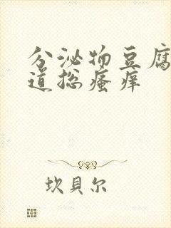 分泌物豆腐渣阴道总瘙痒