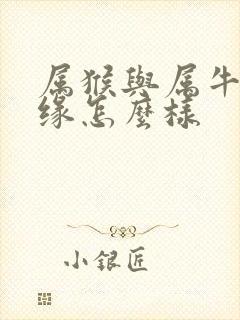 属猴与属牛的姻缘怎么样