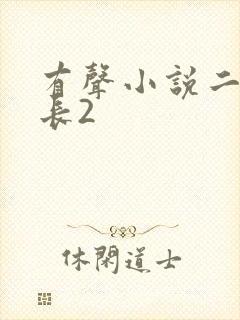 有声小说二号首长2封面