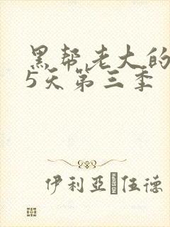 黑帮老大的365天第三季