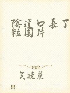 阴道口长了小肉粒图片封面