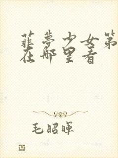 菲梦少女第三季在哪里看封面