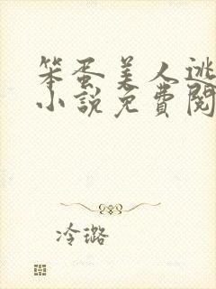 笨蛋美人逃婚后小说免费阅读