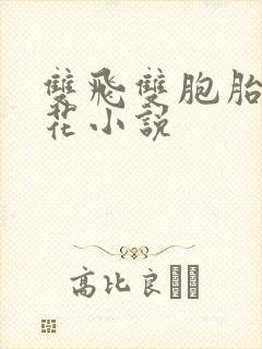 双飞双胞胎姐妹花小说