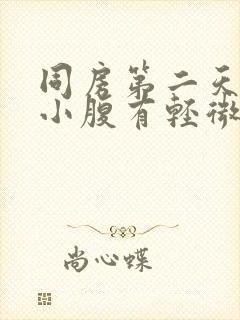 同房第二天流血小腹有轻微疼痛