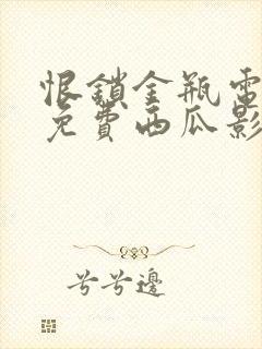 恨锁金瓶电视剧免费西瓜影院