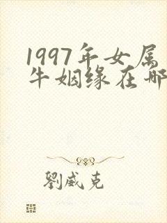 1997年女属牛姻缘在哪年
